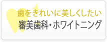 歯をきれいに美しくしたい　審美歯科・ホワイトニング